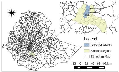 Assessment of community-based intervention approaches to improve the health and welfare of working donkeys in selected areas of Sidama region, Southern Ethiopia